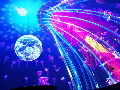 Dernières nouvelles de l'entreprise Projetteur FLYIN 20000 lumen équipé d'une lentille à œil de poisson pour créer une expérience visuelle d'écran sphérique choquante