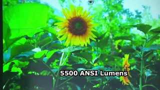 Projecteur laser 3LCD natif 4K à résolution courte 3840 x 2160